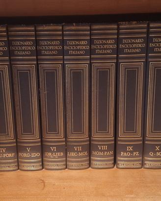 Treccani Dizionario Enciclopedico 13 volumi