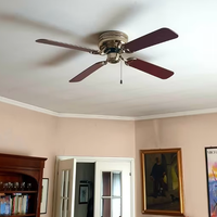 Ventilatore da soffitto