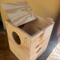 Nidi per pappagalli cocorite