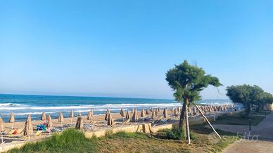 Kamarina dal 28/06 al 05/07/25 e dal 05/07al12/07