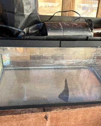Acquario per pesci