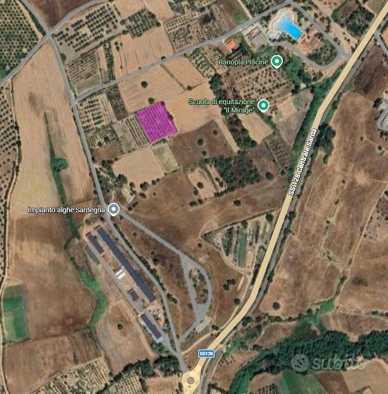 Oliveto - Ortacesus - Vista 2
