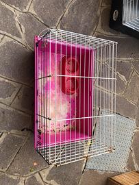 Gabbia per conigli porcellini d’india