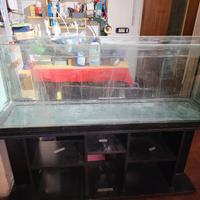 Acquario 300 litri + mobile