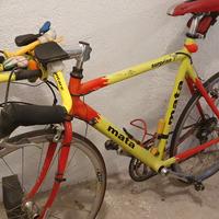 2  Bici.  1 ex triathlon l'altra trasfornata city