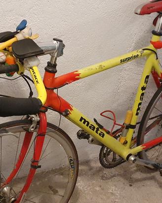2  Bici.  1 ex triathlon l'altra trasfornata city
