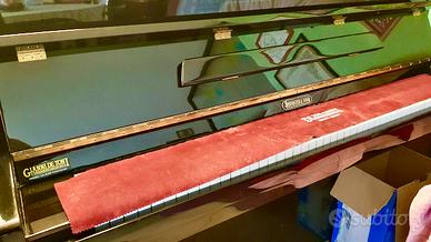 Steinmayer & Sons Pianoforte verticale