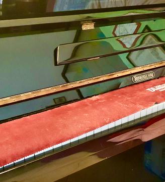 Steinmayer & Sons Pianoforte verticale
