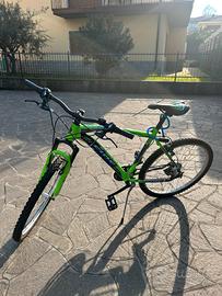Bicicletta 