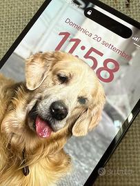 Iphone 14 pro con schermo leggermente graffiato