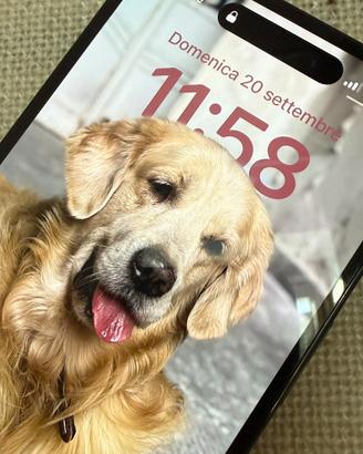 Iphone 14 pro con schermo leggermente graffiato