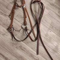 Redini monta americana