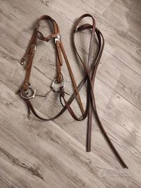 Redini monta americana