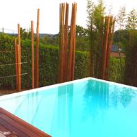 Canne di bambù - bamboo