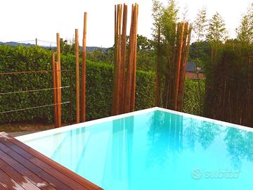 Canne di bambù - bamboo