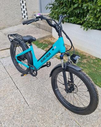 bici elettrica pedalata assistita