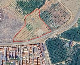 TER. AGRICOLO A CORIGLIANO-ROSSANO