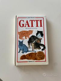 Gatti