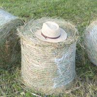 Fieno in piccole rotoballe