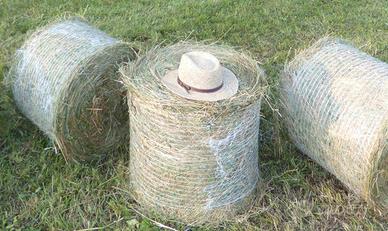 Fieno in piccole rotoballe