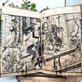 Libro Giappone Xilografia Edo 1800 Illustrato