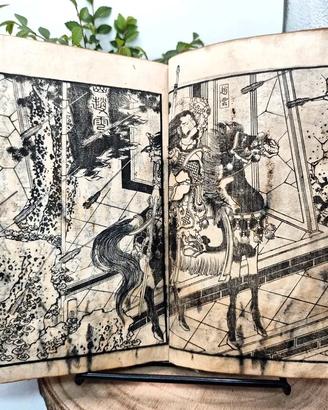 Libro Giappone Xilografia Edo 1800 Illustrato