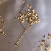 Fiori essicati per matrimonio