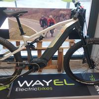 ebike WAYEL