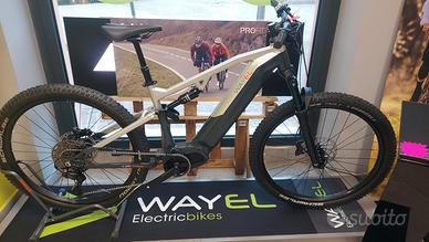 ebike WAYEL