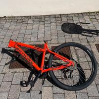 Bicicletta Mountain bike