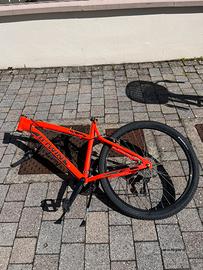 Bicicletta Mountain bike