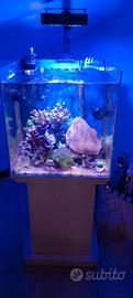 Acquario Marino completo 