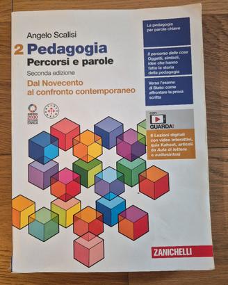 Pedagogia 2. Percorsi e parole