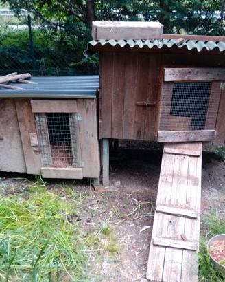 Gabbie per galline conigli