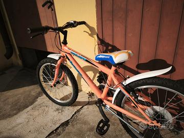 bicicletta