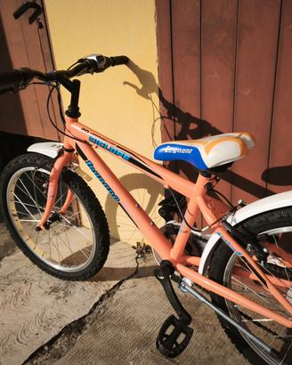 bicicletta