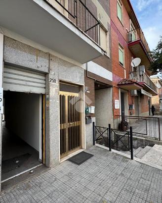 NEGOZIO A ALBANO LAZIALE
