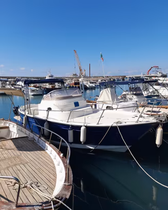 Gozzo Feluca 750