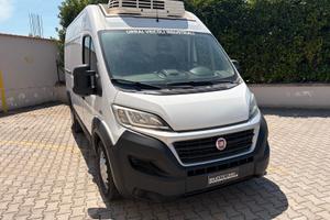 Fiat Ducato 35 2.3 MJT 130CV PC-TN Frigorifero Max