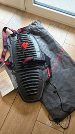 Para schiena ducati