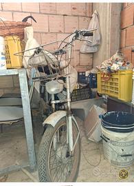 Garelli Altro modello