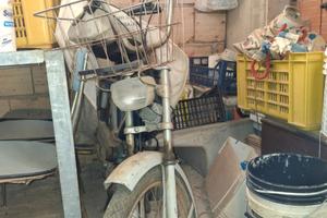 Garelli Altro modello