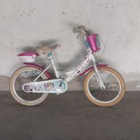 bici violetta 