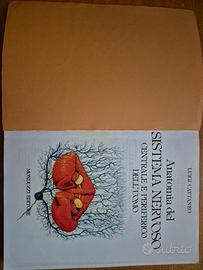 Libro Anatomia del sistema nervoso - Cattaneo