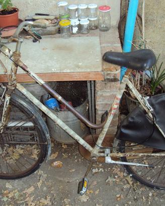 bicicletta bottecchia