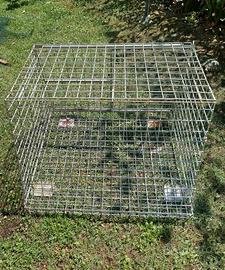 box-trasportino-gabbia cani