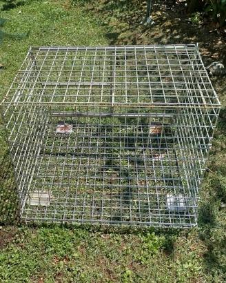 box-trasportino-gabbia cani