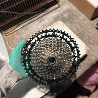 pacco pignoni GX 12v