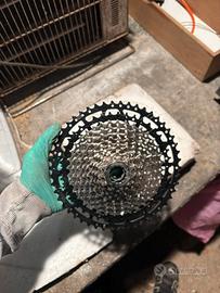 pacco pignoni GX 12v