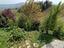 Immagine 23